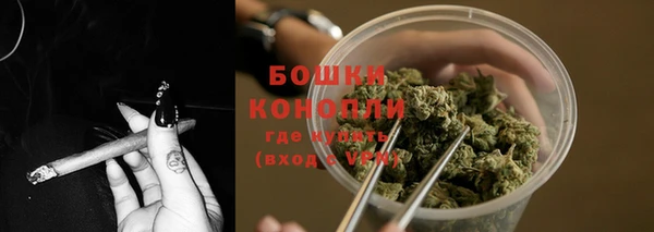 ПСИЛОЦИБИНОВЫЕ ГРИБЫ Волосово
