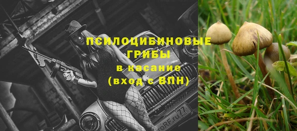 ПСИЛОЦИБИНОВЫЕ ГРИБЫ Волосово