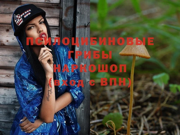 первитин Володарск