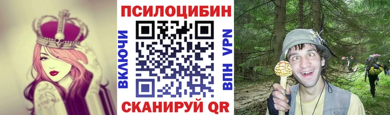 Псилоцибиновые грибы Magic Shrooms  Купить закладки  Озёрск 